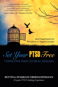 Set-Your-PTSD-Free-book-cover